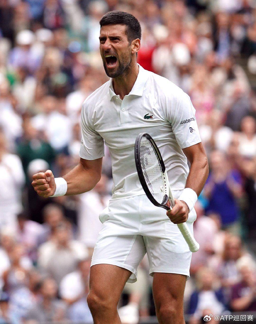 的竞争性吸 的竞争性吸