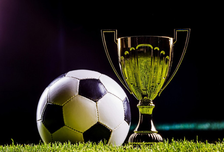 杂性和不可 杂性和不可