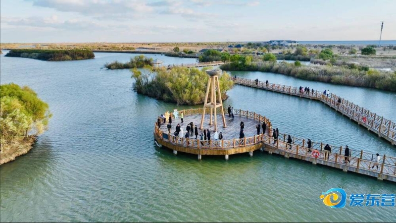 手挺进四强 手挺进四强